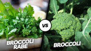 Broccoli Rabe vs Broccoli
