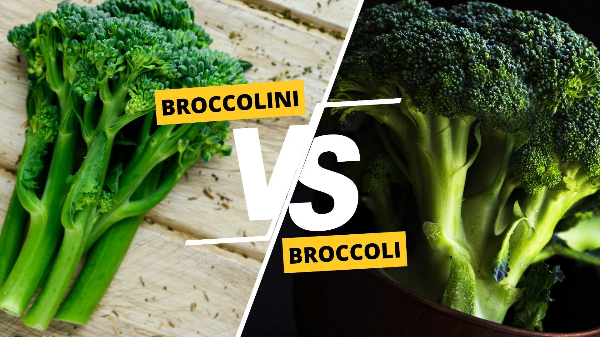 Broccolini vs Broccoli