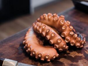 Can You Eat Raw Octopus