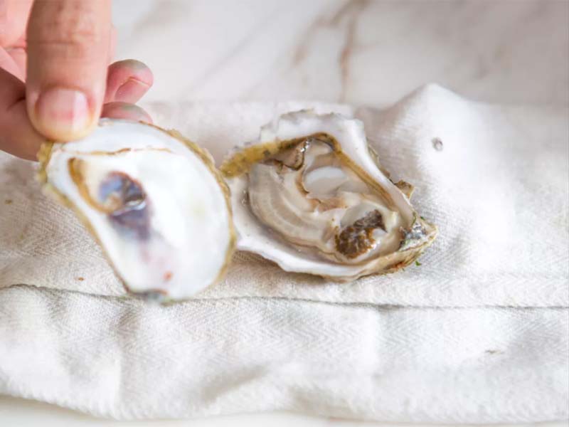 Eliminate The Top Shell and Inspect the Oyster Meat
