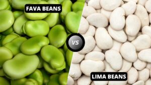Fava Beans vs Lima Beans
