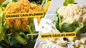 Orange Cauliflower vs White