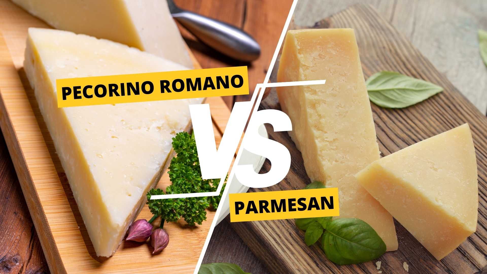 Pecorino Romano vs Parmesan