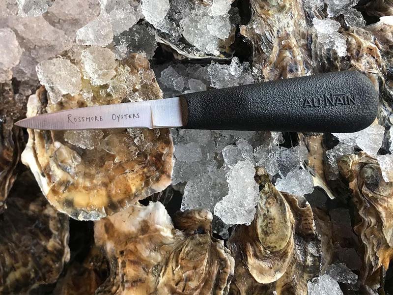 What Kind of Knife Do I Use to Shuck Oysters